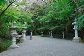 灯篭が立ち並ぶ参道